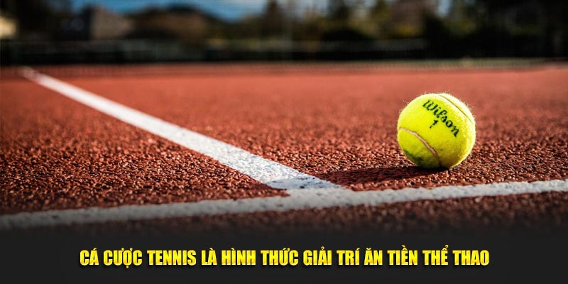 Cá cược tennis là hình thức giải trí ăn tiền thể thao