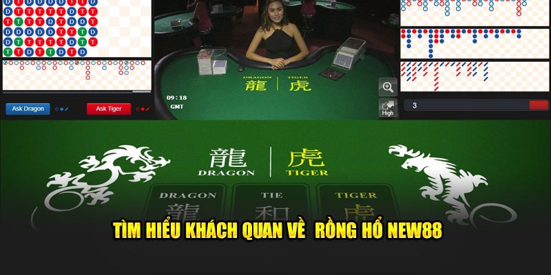 Tìm hiểu khách quan về  Rồng Hổ New88