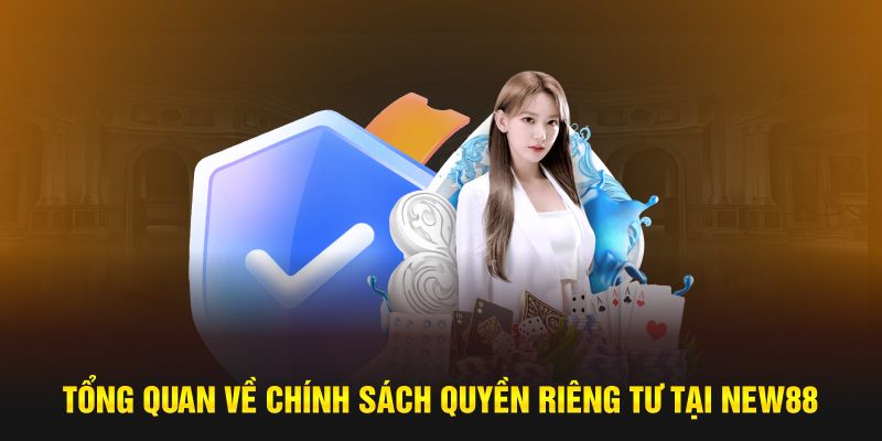 Tổng quan về chính sách quyền riêng tư của New88